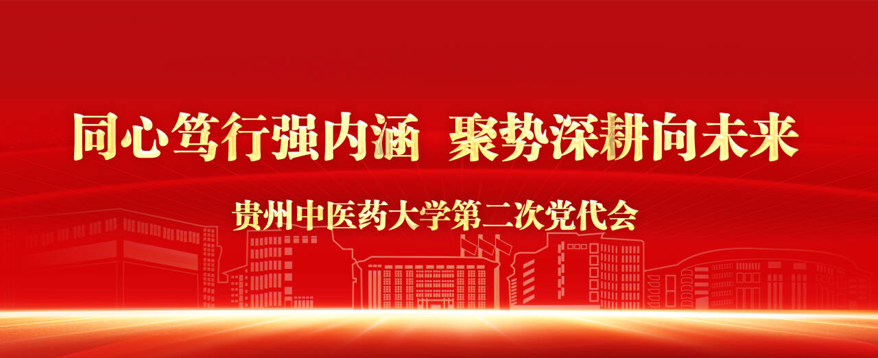 钟雅晶一行莅临我校开展专项交流座谈