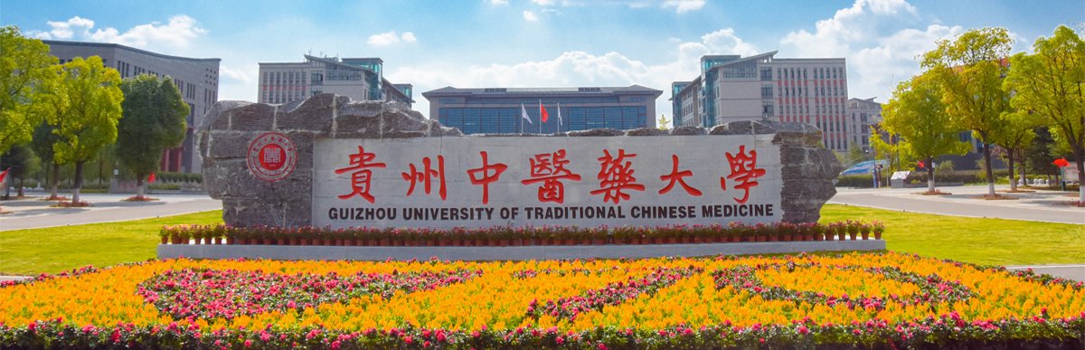 坚持“发展为先