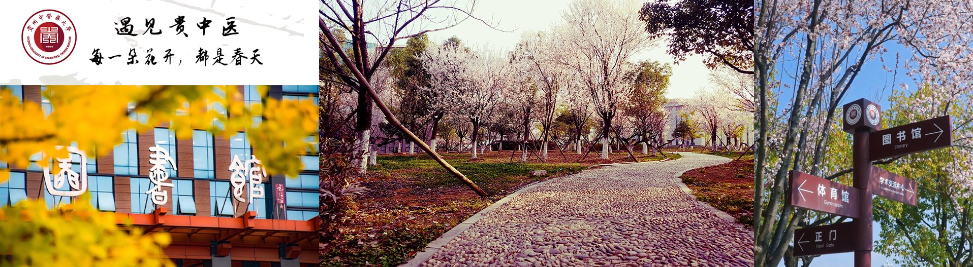 建校以来