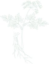 为深化校企合作